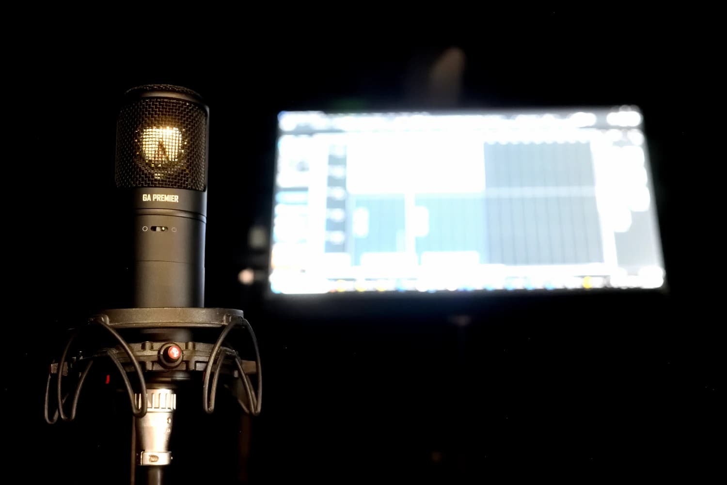 Condenser microphone in the vocal booth at Moorcroft Studios